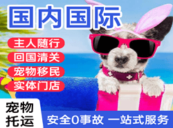 永州零陵空运国际宠物托运 【国
